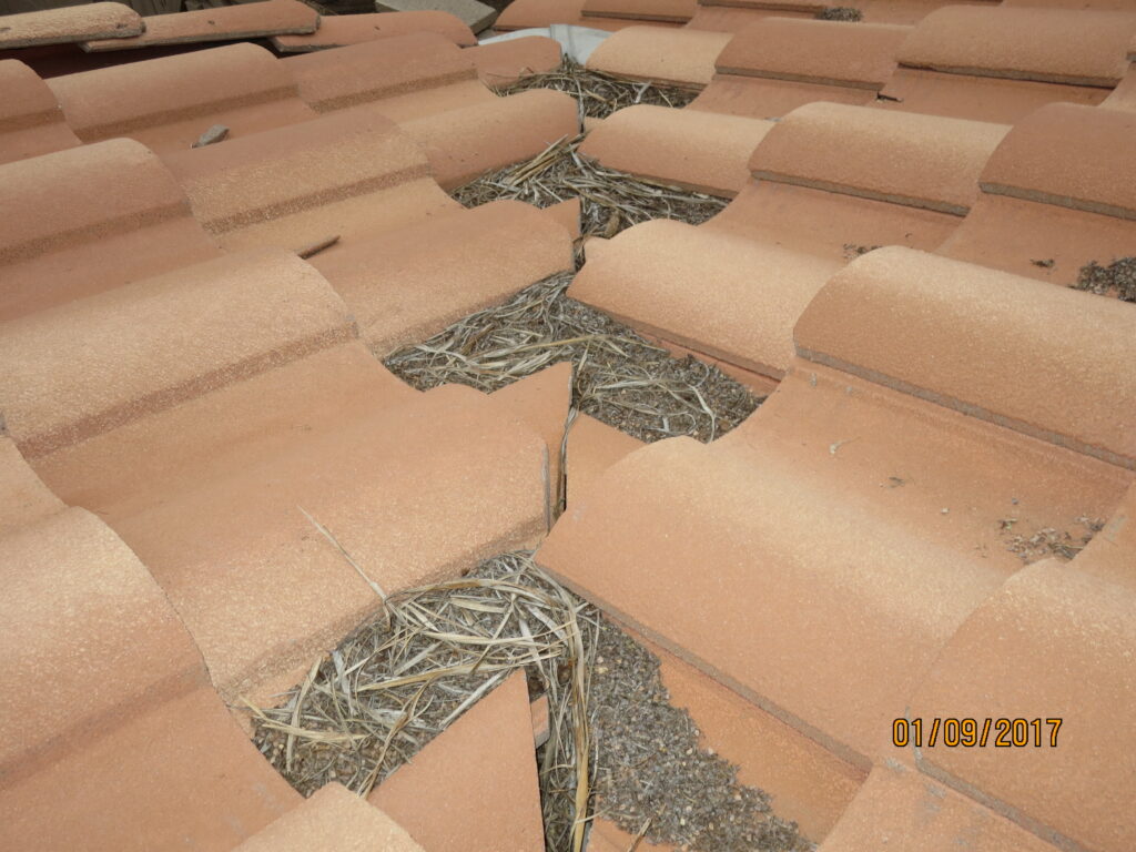 Photo of debris on a roof.